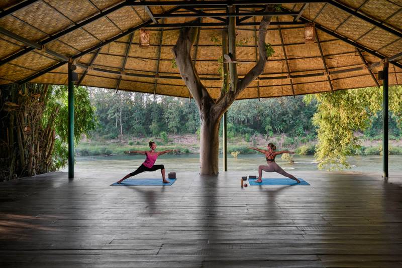 Two guests practicing warrior pose in open-air yoga pavilion with thatched roof and river view, ancient tree growing through wooden deck