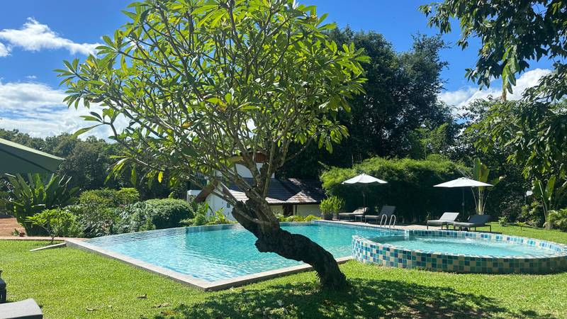 Turquoise infinity pool with sculptural tree centerpiece, white umbrellas and loungers, surrounded by manicured lawn and tropical gardens
