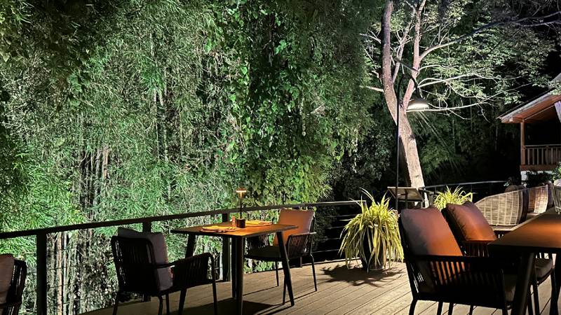 A candlelit outdoor dining table on a wooden deck surrounded by dense green foliage at night.