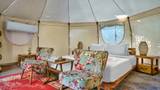 Interior of a canvas glamping tent with floral armchairs, wooden table, and white bed.
