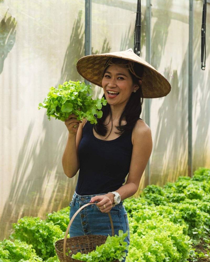 Guest wearing traditional conical hat harvesting fresh lettuce in Namkhan's organic garden greenhouse, smiling while holding leafy greens