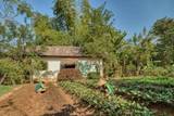Local farmers tending organic vegetable garden at The Namkhan resort in Luang Prabang, Laos, with traditional farmhouse backdrop