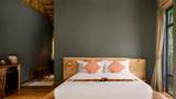 A king bed with white linen and orange patterned cushions against a dark sage wall.