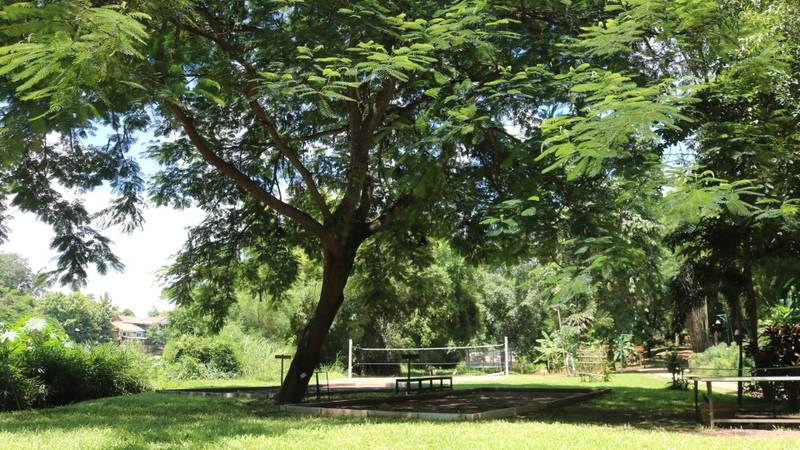 Shaded volleyball court and recreation area under mature trees at The Namkhan resort grounds in Luang Prabang, Laos, offering outdoor activities.