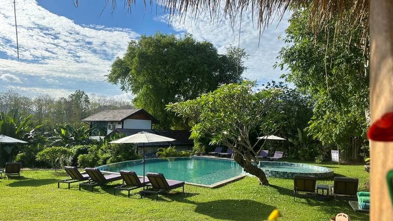Turquoise swimming pool surrounded by manicured lawn, teak loungers with purple cushions, and lush tropical gardens under blue sky