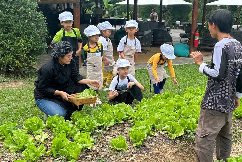 Children in chef aprons harvest fresh lettuce from organic garden with culinary instructor at Namkhan resort's farm-to-table program