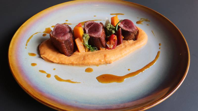 Perfectly seared duck breast medallions with carrot puree, roasted vegetables, and herb garnish on artisan ceramic plate